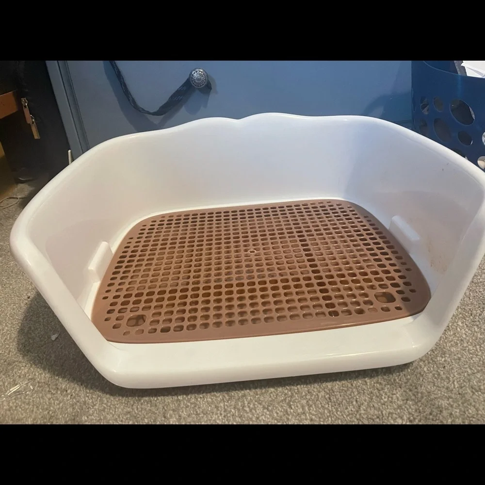 Indoor potty